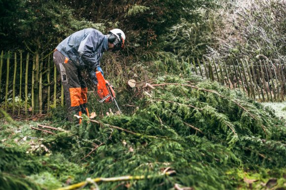 Professionnel pour un contrat de taille de haie et désherbage à Pont-de-Vaux